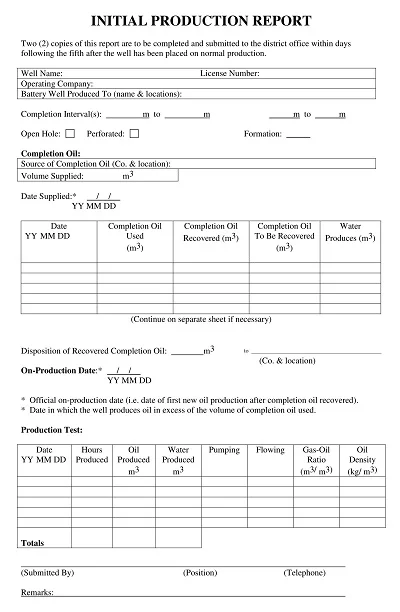 Initial Production Report Template