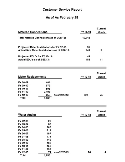 Customer Feedback Service Report