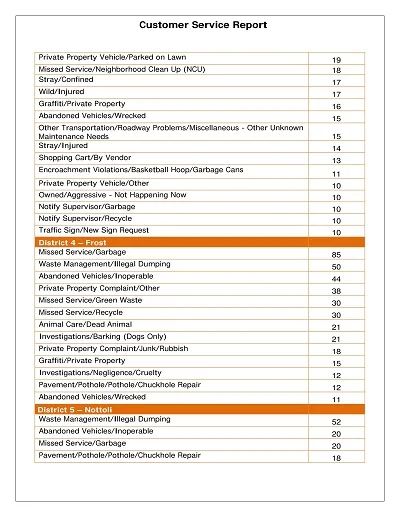 Customer Service Revenue Report Template