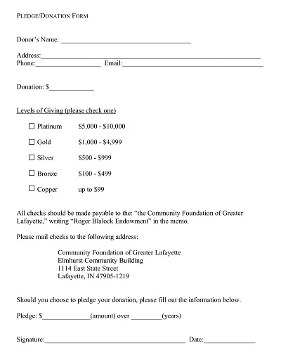 Donation Form Template DOC