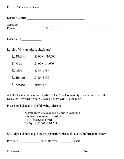 Donation Pledge Form Format