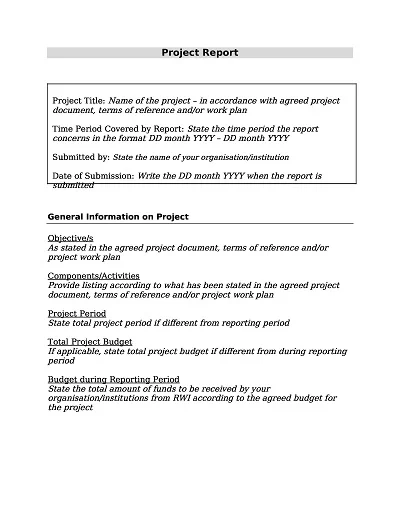 Generic Progress Report Template