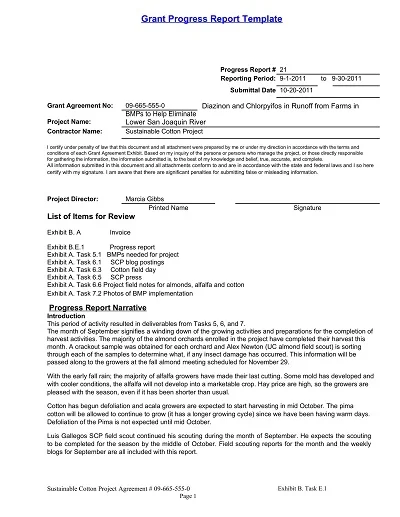 Grant Progress Report Template