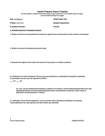 Interim Progress Report Template