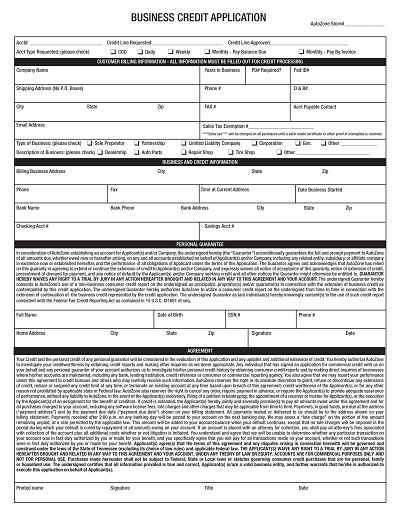 New Business Credit Application Form