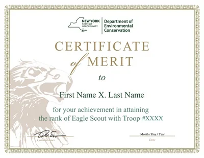 Certificate of Merit Template