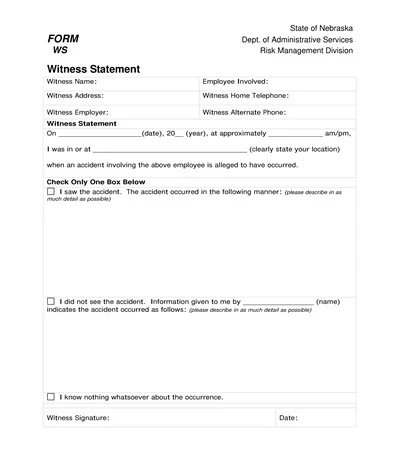 Service Witness Statement Template