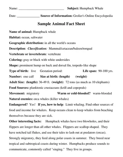 Animal Fact Sheet Template