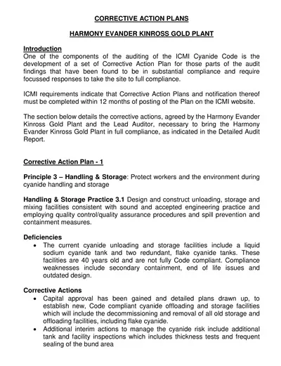 Environmental Corrective Action Plan Template