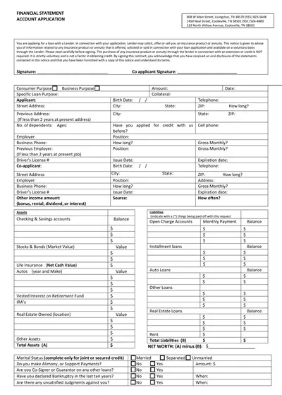 Financial Statement Account Application