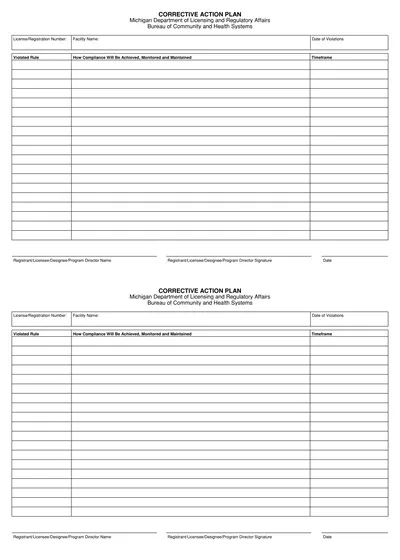 Health Systems Corrective Action Plan Template