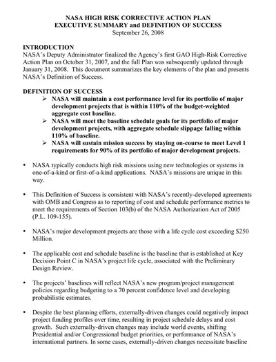 Risk Corrective Action Plan Template