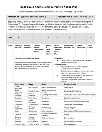 Root Cause Analysis and Corrective Action Plan