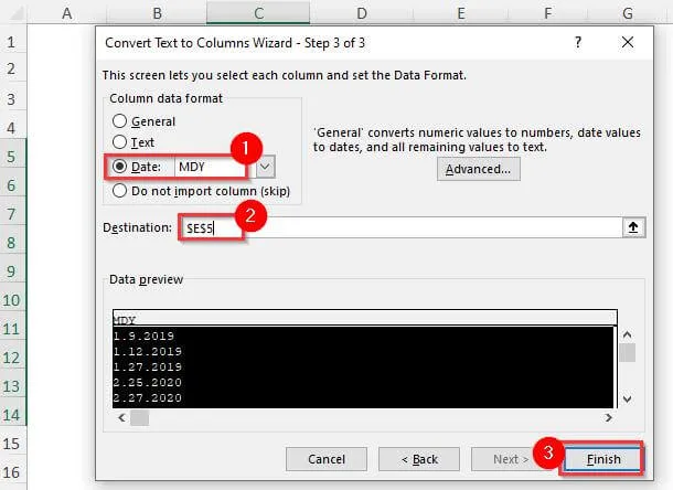 select date format in convert text to columns wizard