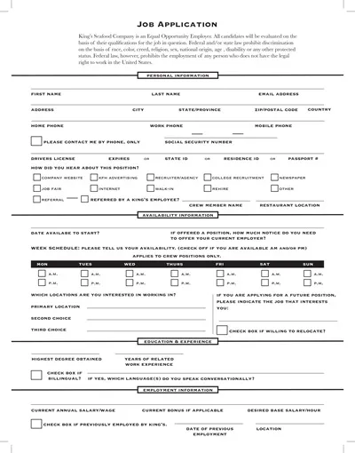 Job Application Example Template