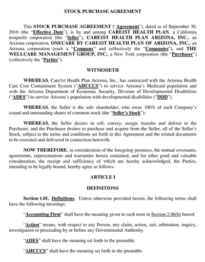 Stock Purchase Agreement Example