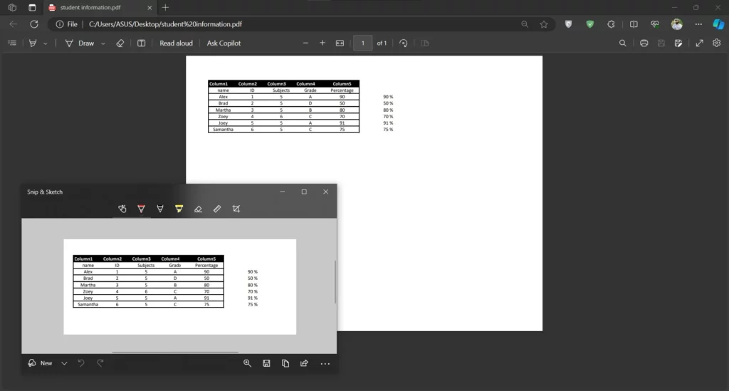 open pdf in excel via screenshot